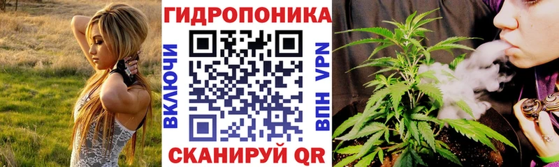 Где купить наркотики Завитинск Каннабис  СОЛЬ  АМФЕТАМИН  Лсд 25  hydra tor  Гашиш 