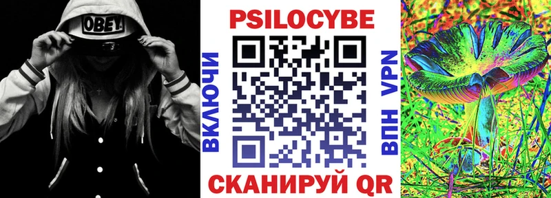 Псилоцибиновые грибы прущие грибы  Завитинск 